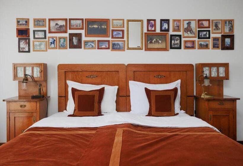 ホテル Conacul Archia