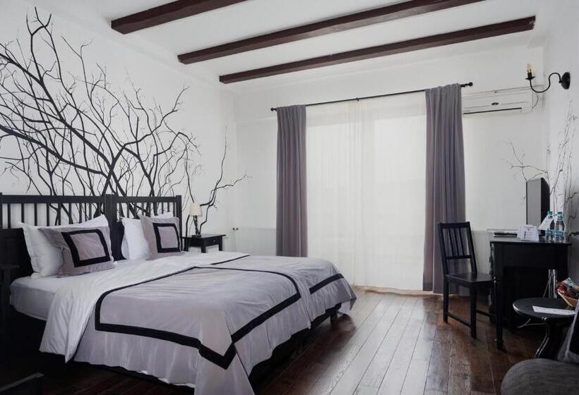 ホテル Conacul Archia