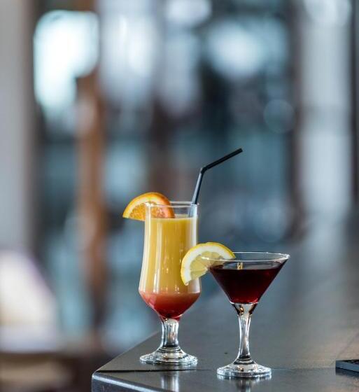 ホテル Conacul Archia