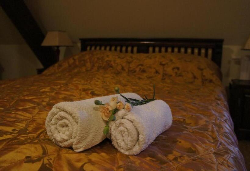 בית מלון כפרי Dworska Elektrownia