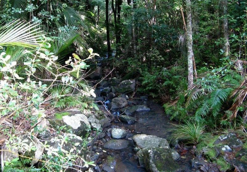 בית מלון כפרי Earthsong Lodge