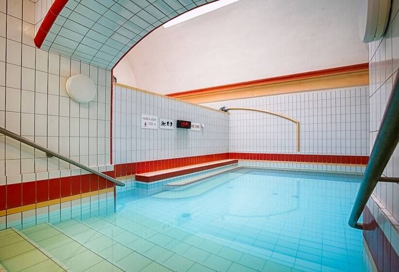 בית מלון כפרי Ensana Pro Patria