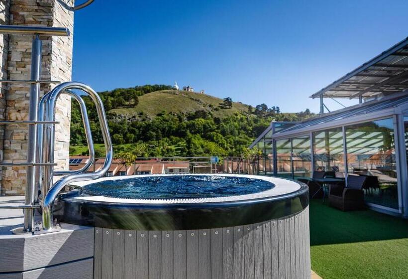 בית מלון כפרי Galant Mikulov