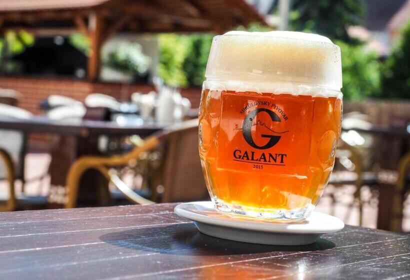 هتل Galant Mikulov