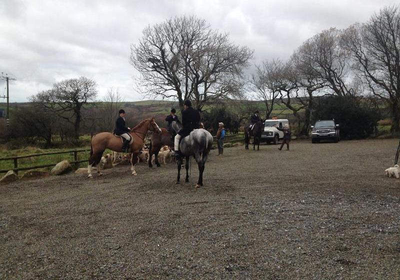 酒店 Gellifawr Country House