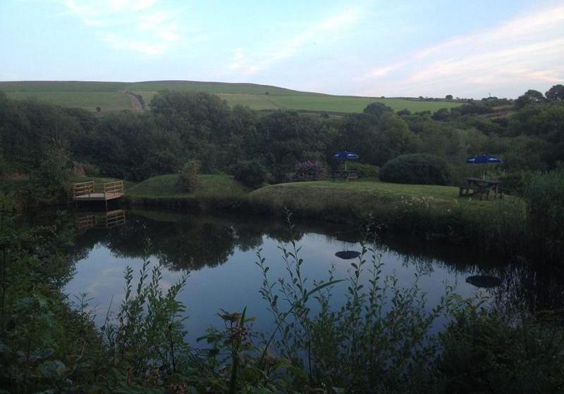 酒店 Gellifawr Country House