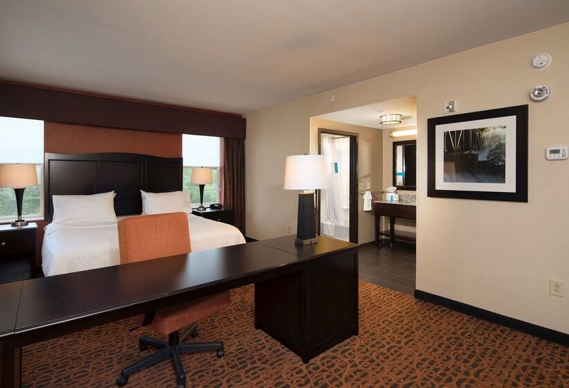 فندق Hampton Inn Lewistonauburn