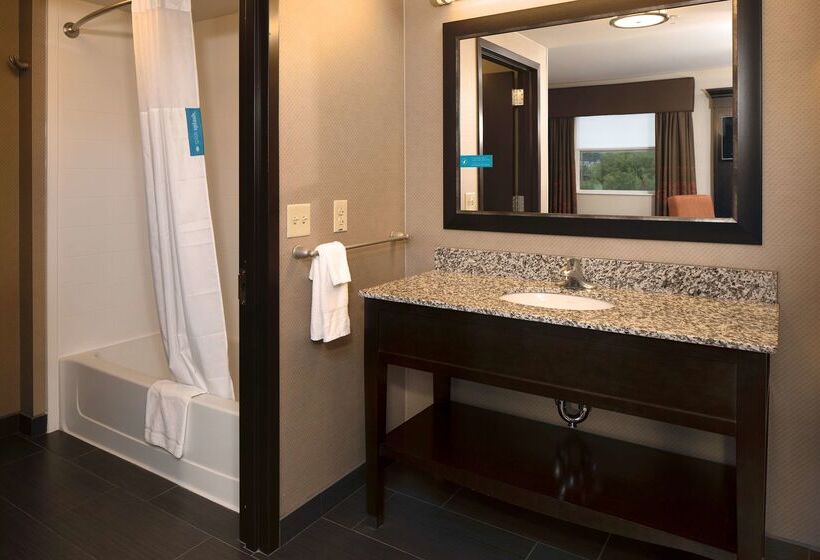 فندق Hampton Inn Lewistonauburn