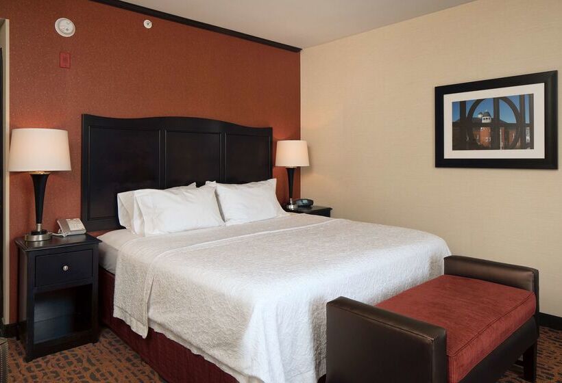 فندق Hampton Inn Lewistonauburn