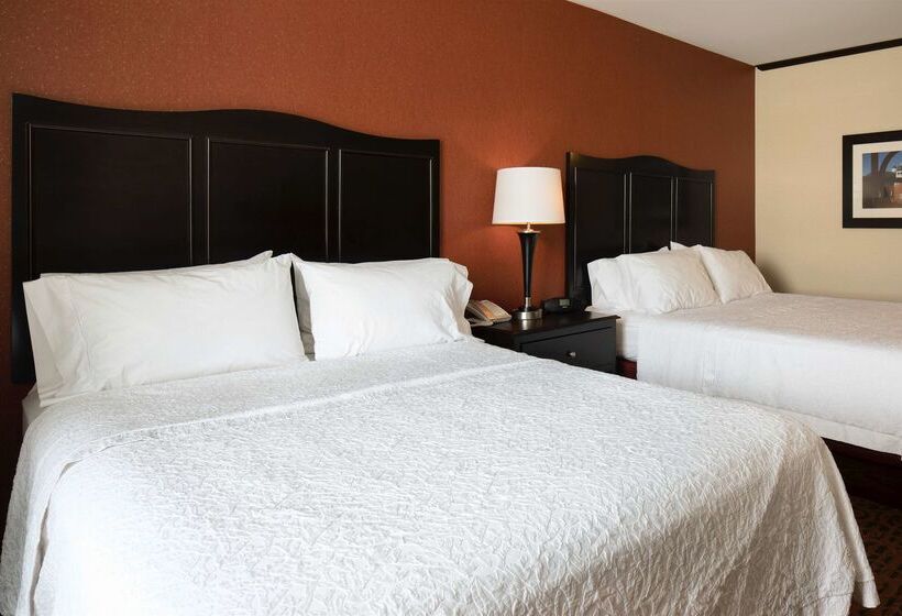 فندق Hampton Inn Lewistonauburn