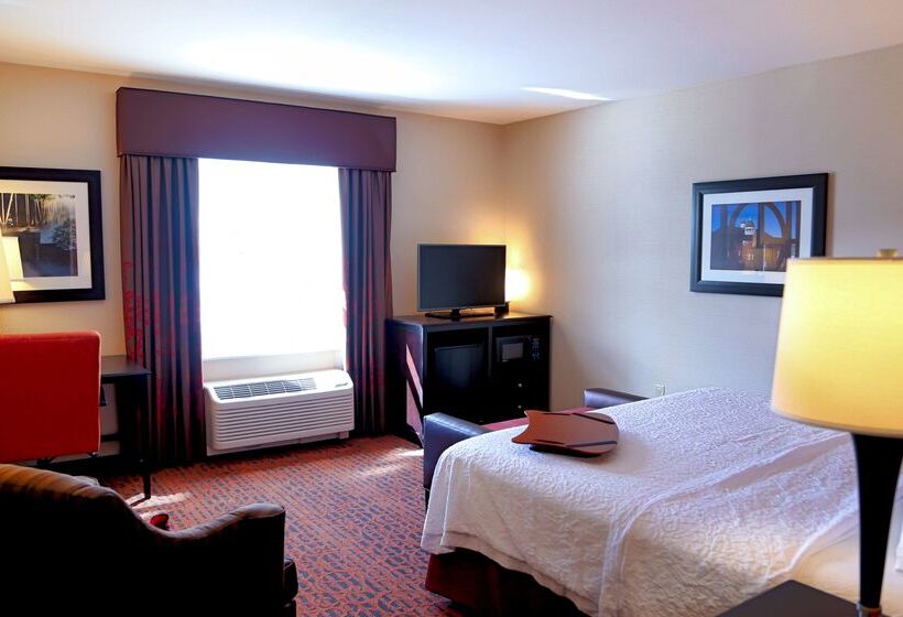 فندق Hampton Inn Lewistonauburn
