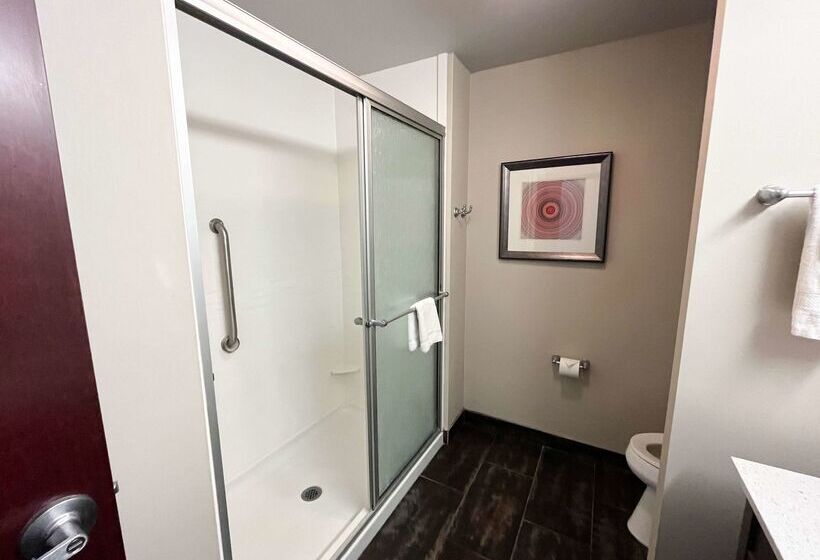 Отель Quality Inn & Suites