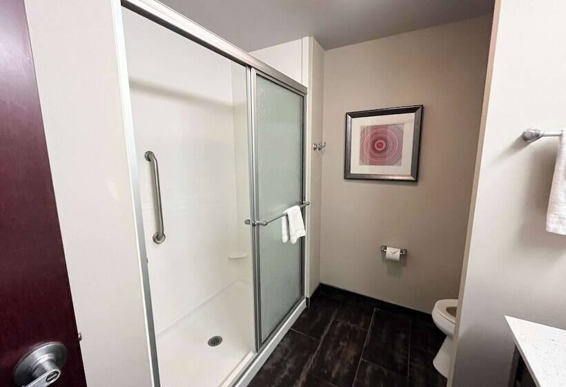 Отель Quality Inn & Suites