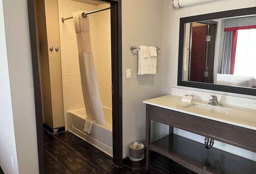 Отель Quality Inn & Suites