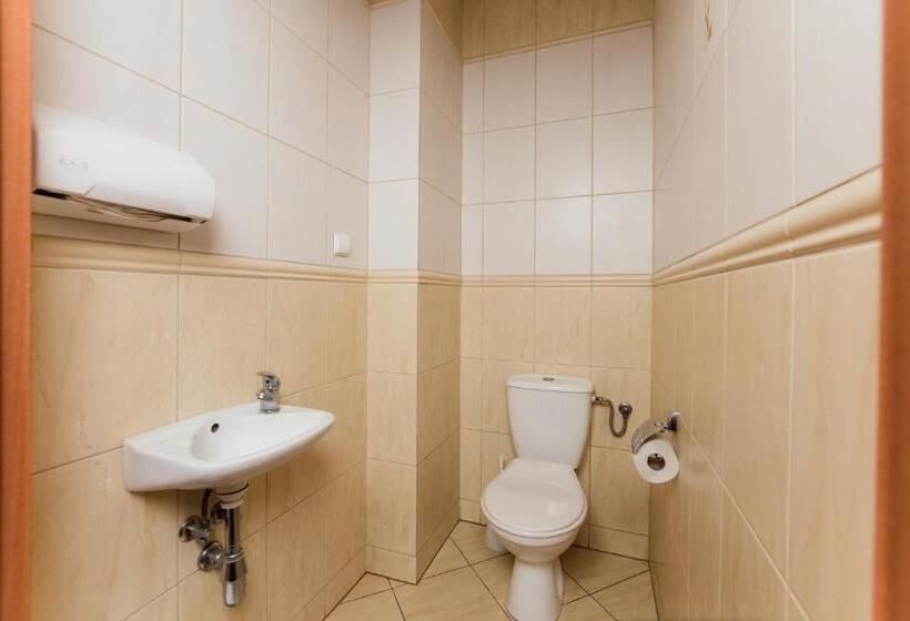 酒店 Karpackie Pokoje