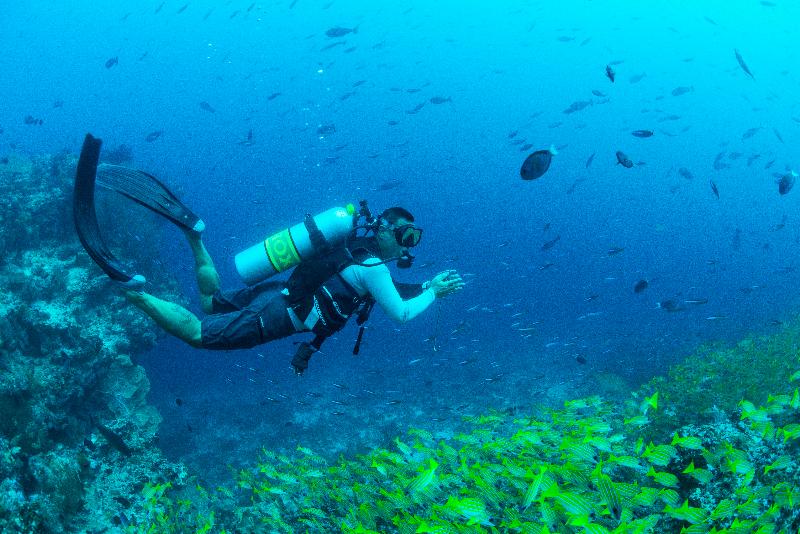 호텔 Maafushivaru Island Resort