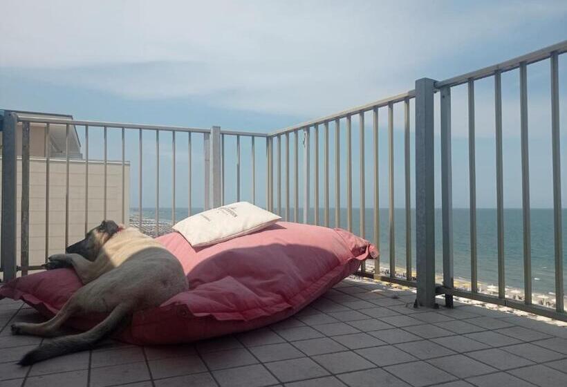 בית מלון כפרי B&b Negresco