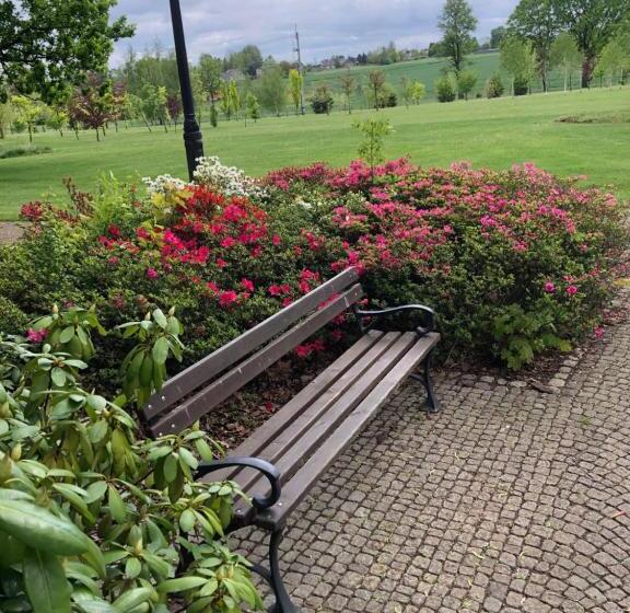 ホテル Pałac Borynia