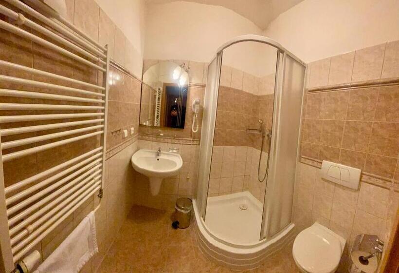 호텔 Penzion černý Kůň