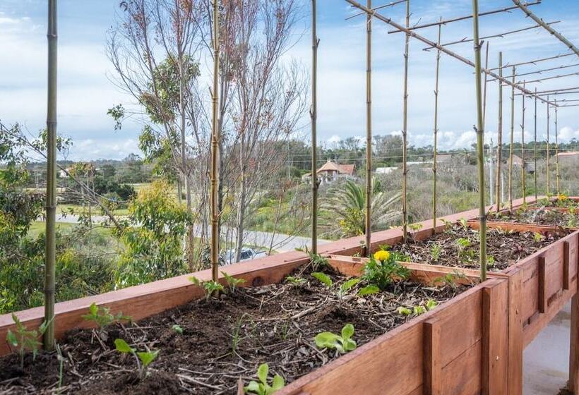 酒店 Portobello Suites