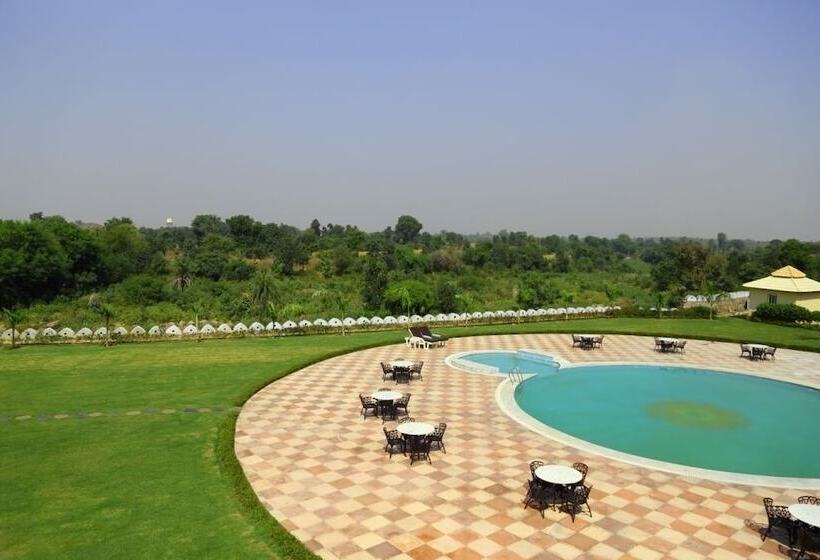 호텔 Raj Mahal The Palace