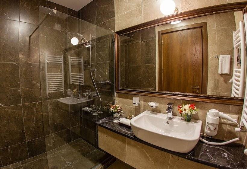 هتل Tbilisi Laerton