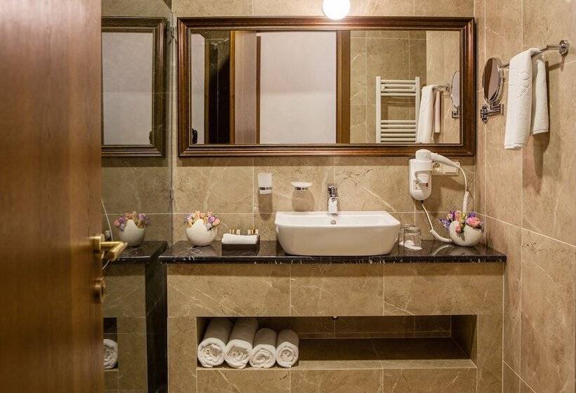 هتل Tbilisi Laerton