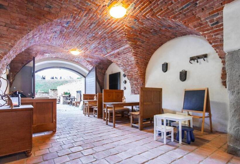 בית מלון כפרי Salety