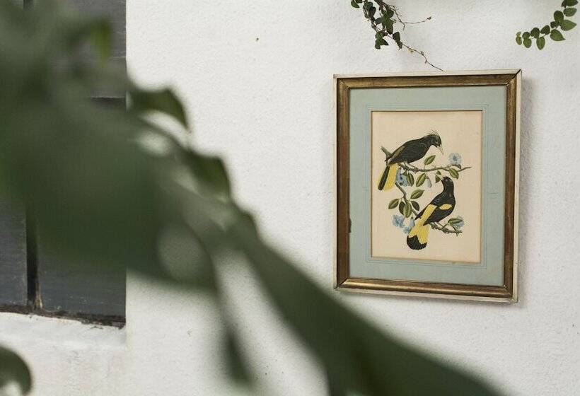 בית מלון כפרי Splendido