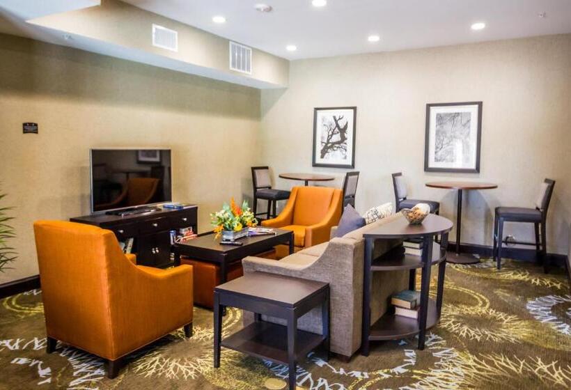 فندق Staybridge Suites Plano   Legacy West Area, An Ihg
