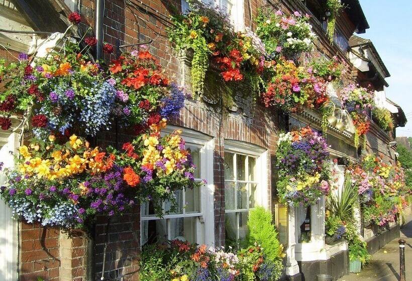 בית מלון כפרי The Castle Inn