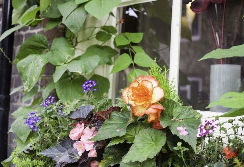 בית מלון כפרי The Castle Inn