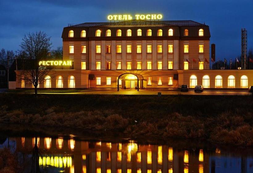 Отель Tosno