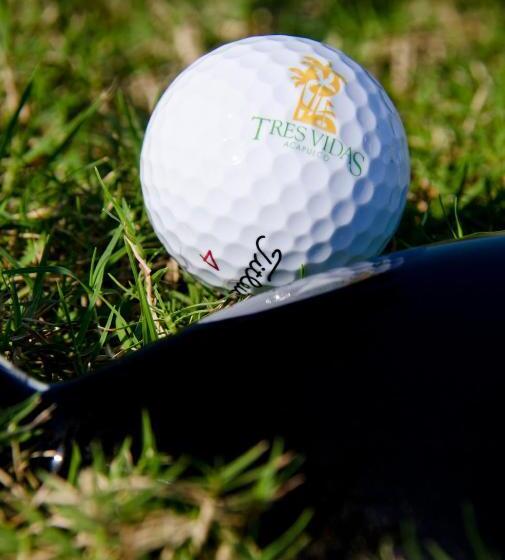 Отель Tres Vidas Acapulco