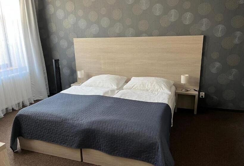 فندق U Dvou Medvídků