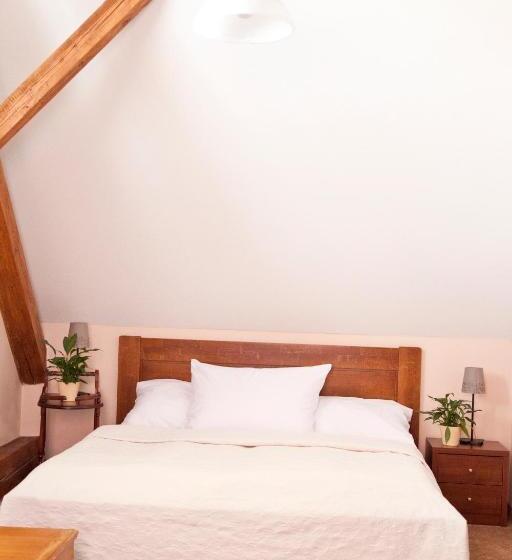 Отель U Zlatého Lva