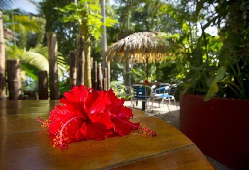 هتل Villas Del Caribe