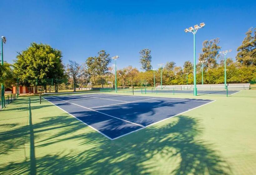 Olinda Hotel E Eventos