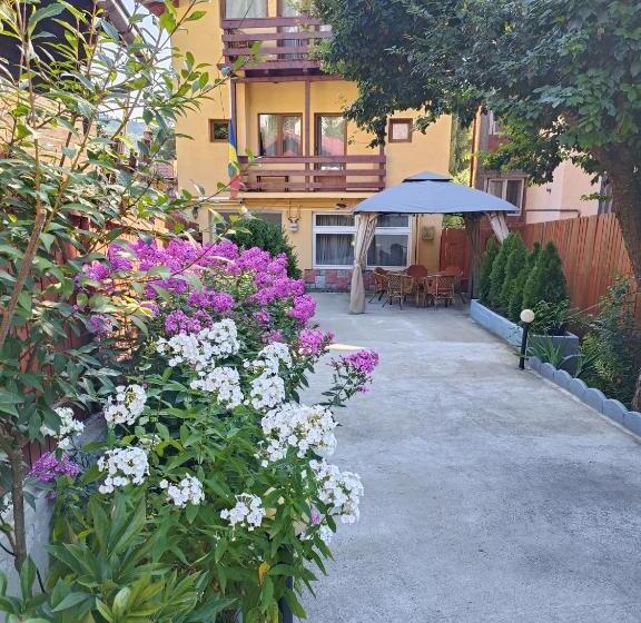 ペンション D&d Busteni