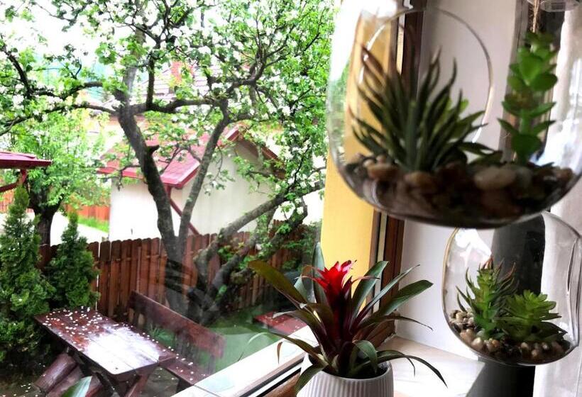 ペンション D&d Busteni