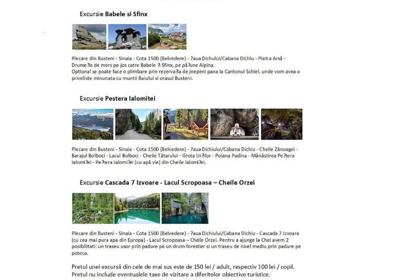 ペンション D&d Busteni