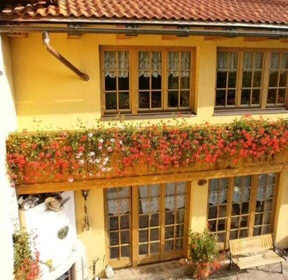 膳宿费 Penzión Stefanshof