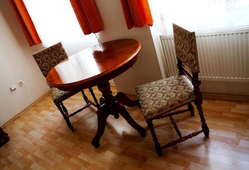 פנסיון Penzion Aviatik