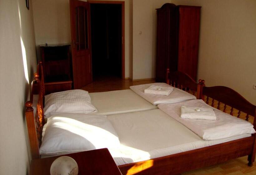 פנסיון Penzion Aviatik