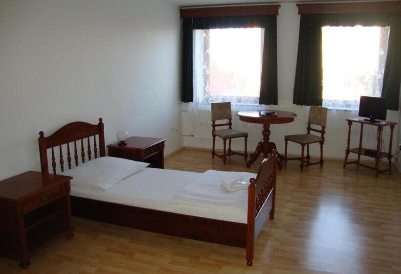 פנסיון Penzion Aviatik