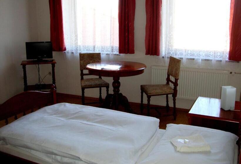 פנסיון Penzion Aviatik