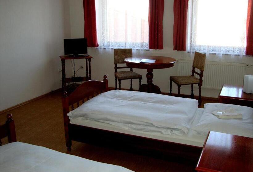 פנסיון Penzion Aviatik