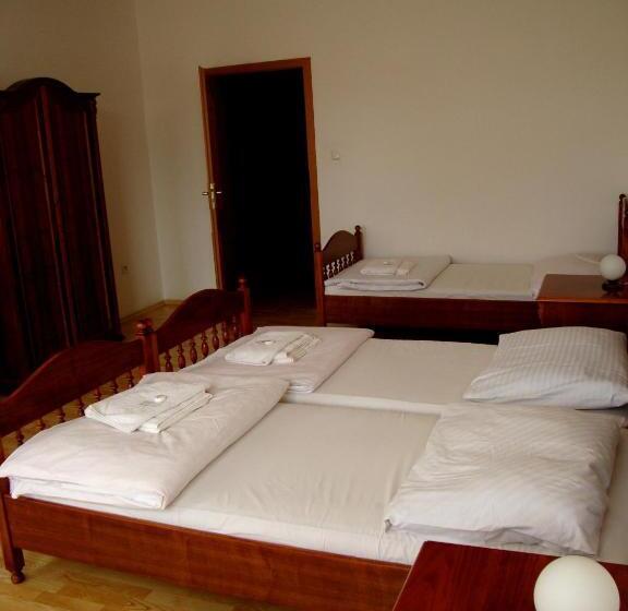 פנסיון Penzion Aviatik