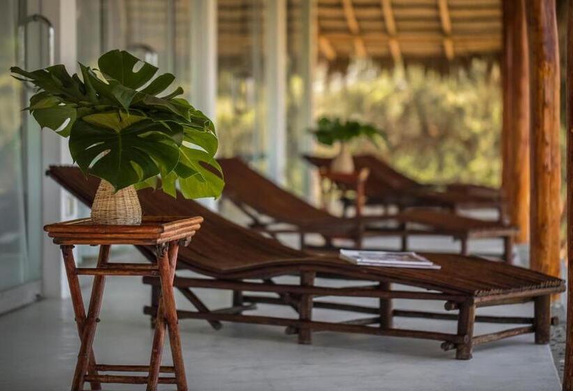 Vichayito Bungalows & Carpas