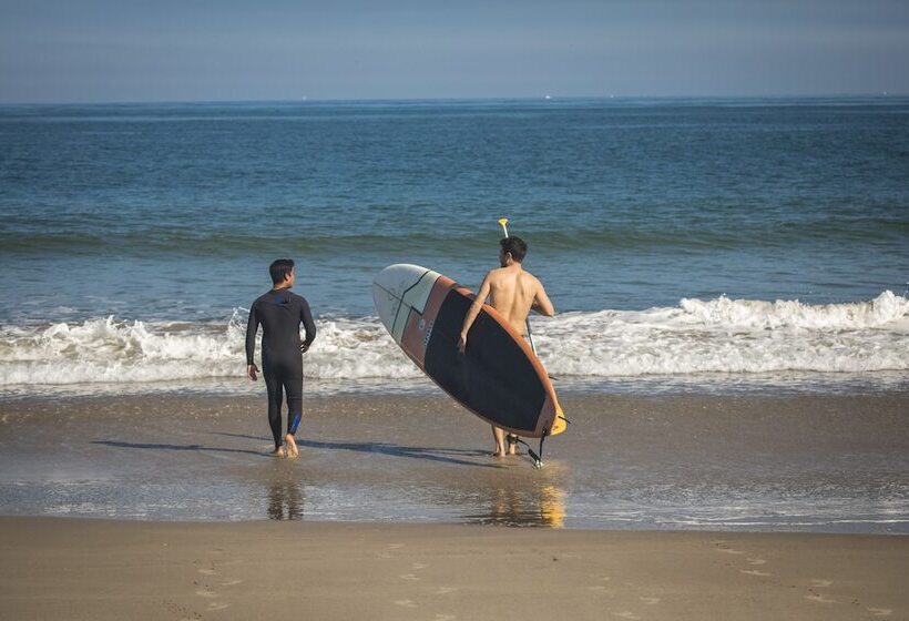 Vichayito Bungalows & Carpas